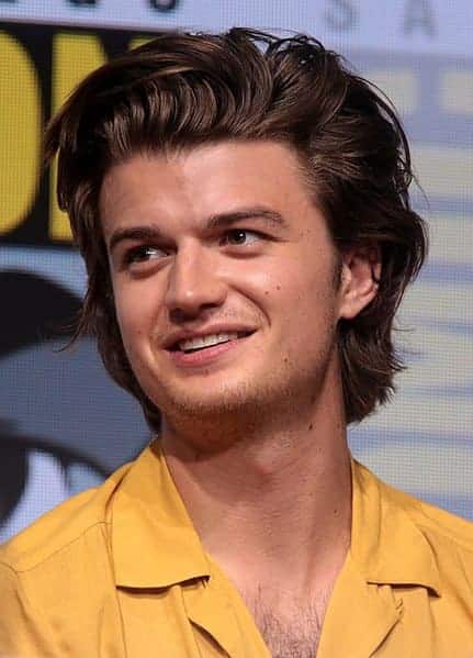 431px-Joe_Keery_by_Gage_Skidmore