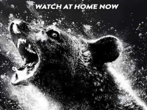Where to Watch Cocaine Bear | Is It Available On Netflix?