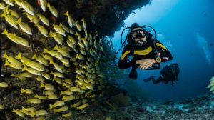 3 Tips To Maximize Your Diving Experience