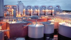 Evolving Weighing Solutions Across Industries