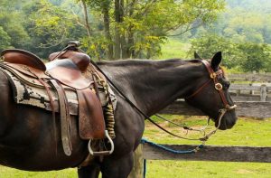 Fun And Functional Reins For Every Equestrian