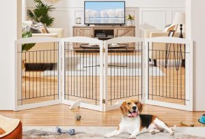 Tips on Choosing the Best Dog Gate: Their Role and Importance