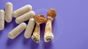 What Are The Signs Of High-quality Mushroom Health That You Must Know?
