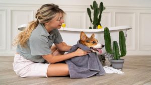 Microfiber Dog Towels: More than Just A Bath Accessory