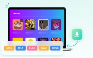 Best Program to Convert Deezer Music 2024