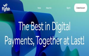 Flyfish Review – Should your Business Use this Company’s IBAN Solutions