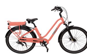 Hitch Bike Rack Safety and Stability