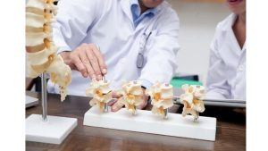 How to Boost Your Orthopedic Practice Online Presence with GMB Optimization?