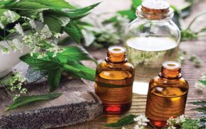 Understanding Essential Oils: Nature’s Answer To Synthetic Cosmetics