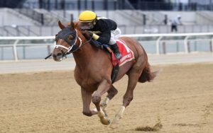 The Celebs You Could See at the 2024 Kentucky Derby