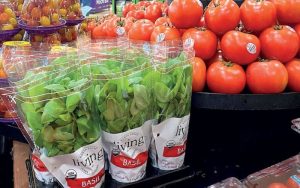 7 Reasons To Buy Green herb From Online Vendors