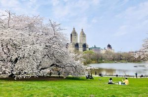 Best Places to Visit in New York State in April
