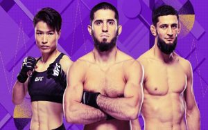 Famous UFC players who love Gaming Online