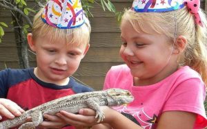 How to Host Unique and Exciting Parties in Orlando