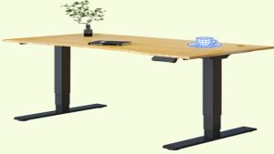 Reasons to Choose an Electric Standing Desk