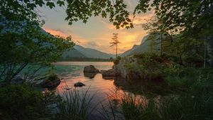 The Art of Slow Living in a High-Speed World