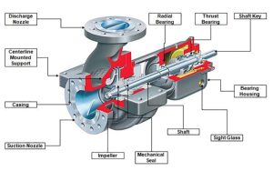 What Are the Parts and Functions of Water Pump?