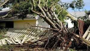 What Steps Should I Take to File an Insurance Claim for Hurricane Damage?