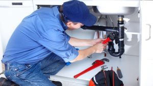 Plumber’s Advice for Outdoor Plumbing Care: Protect Your Property