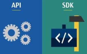 Exploring the Nuances: Differences between SDK and API
