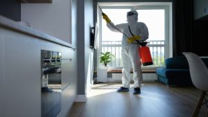 Professional Pest Control Services: Why Hiring Experts Matters