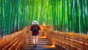 Summer Travel in Japan: A 2024 Guide