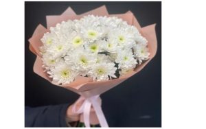 Unconventional Reasons to Gift Chrysanthemums in Barcelona