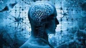 Unlock Faster Learning with Scientific Methods