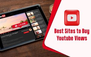 Exploring the Durability of Purchased YouTube Views