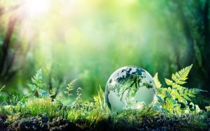 Climate Tech: Revolutionizing the Future of Sustainability