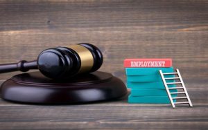 Navigating the Legal Terrain: The Role of an Employment Law Solicitor for Employers