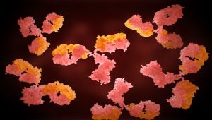 Revolutionizing Biotech: How Custom Antibody Services Are Shaping the Future