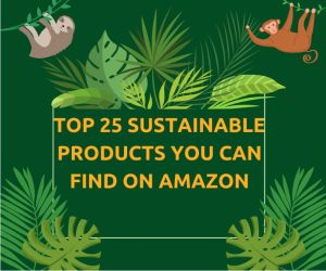Top 25 Sustainable Products You Can Find on Amazon