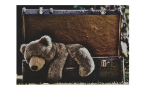 Why Eco-Friendly Junk Removal Matters in Queens 