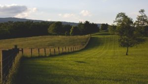 Exploring the Benefits of Moving to the Virginia Countryside