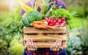 Nourish Your Body, Support Your Community: The Farm-to-Table Movement