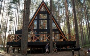 Effective Wildfire Mitigation Strategies for Homeowners