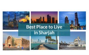 Best Places to Live in Sharjah, Burj Azizi, and Freehold Property in Dubai