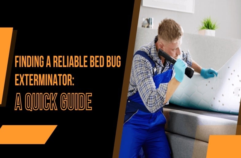 Finding a Reliable Bed Bug Exterminator A Quick Guide