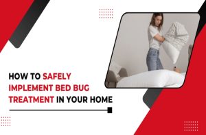 How to Safely Implement Bed Bug Treatment in Your Home