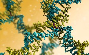 Innovations in Bioluminescent Research: The Role of FLuc mRNA