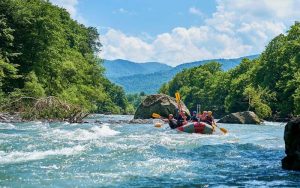 Mumbai to Bangalore Flights: Best Day Trip Ideas and Weekend Retreats