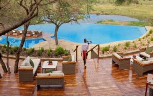 5 Best Times to Experience Luxury Safaris