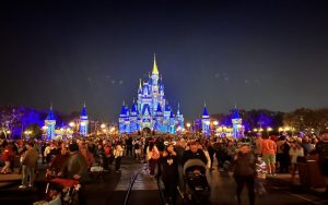 6 Reasons a Disney World Car Service Will Transform Your Vacation