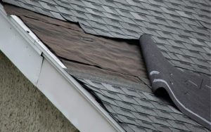 How to Spot Roof Damage Before It Gets Worse