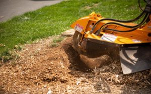 The Art and Science of Stump Grinding: A Comprehensive Guide