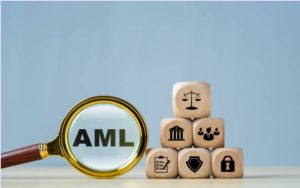 What Are the Techniques, Challenges, and Solutions in the Placement Stage of Money Laundering?