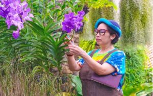 Discover the Exquisite Beauty of Thailand Orchid Farms