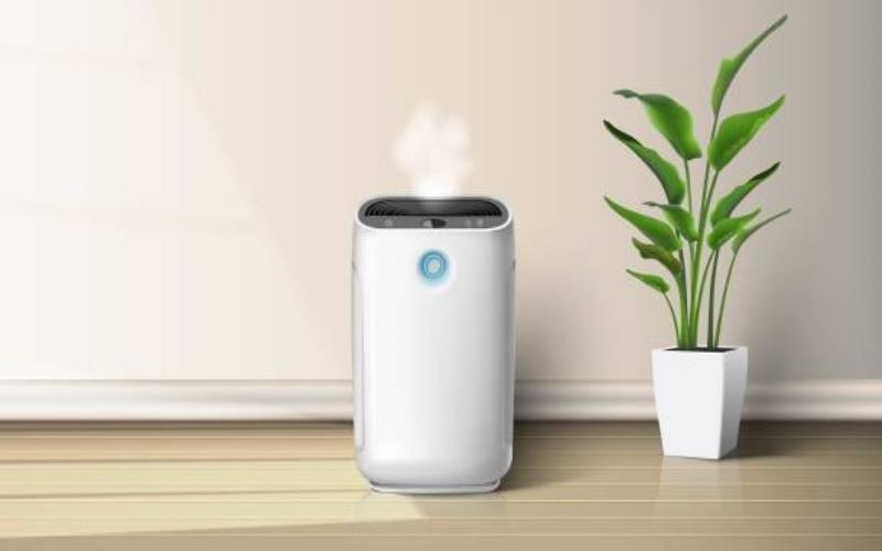 Elevating Indoor Living The Ultimate Fusion of Dehumidification and Air Purification
