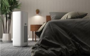 Elevating Indoor Living: The Ultimate Fusion of Dehumidification and Air Purification